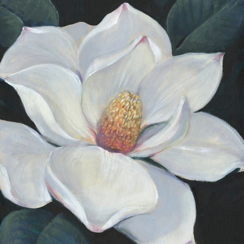 Stunning White Magnolia Flower Oil Painting