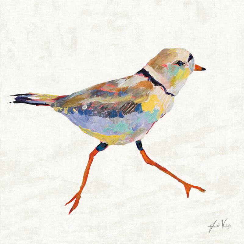 Coastal Plover Oil Painting on Linen - Colorful Bird Art