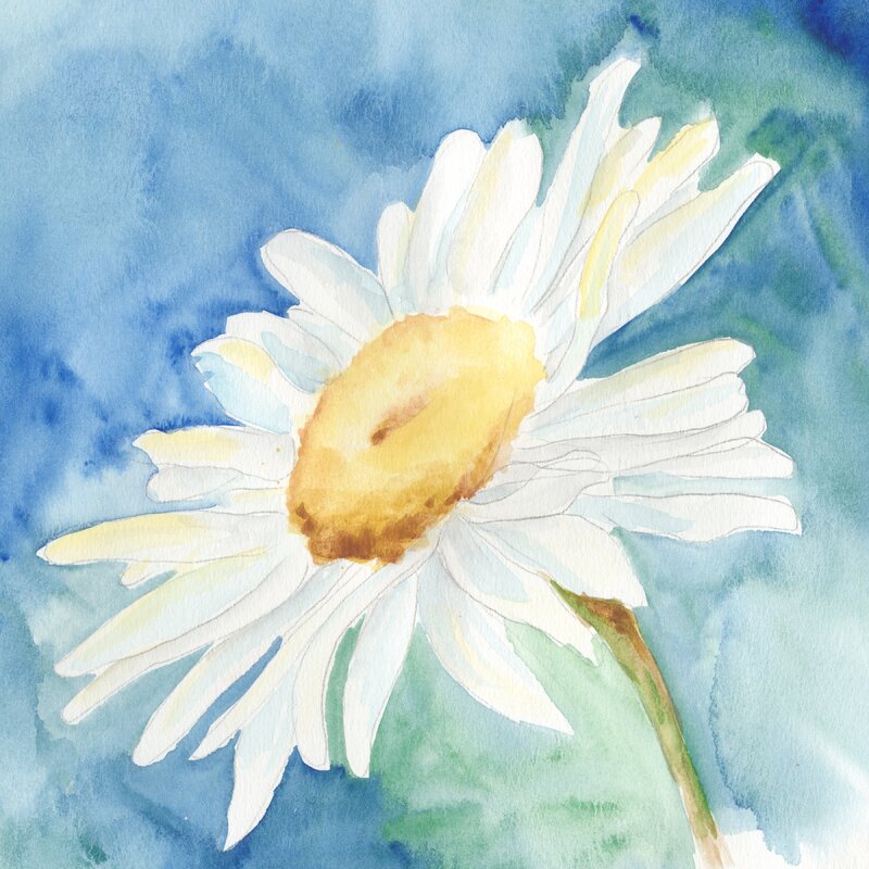 Radiant Daisy Flower Oil Painting