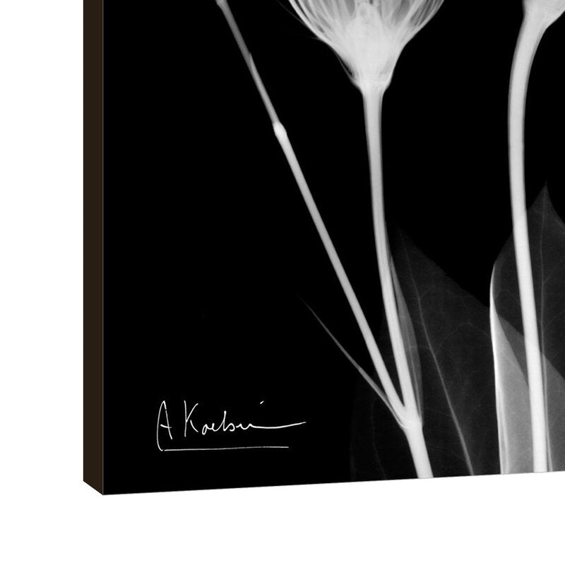 Elegant Gentian Flowers: Contemporary Black and White Oil Painting