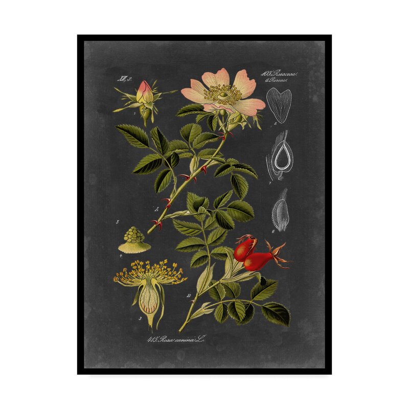 Midnight Botanical Floral Art Print for Elegant Home Decor