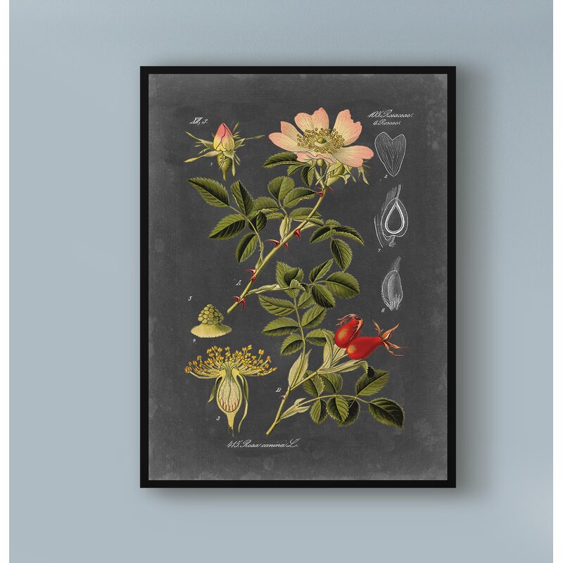 Midnight Botanical Floral Art Print for Elegant Home Decor