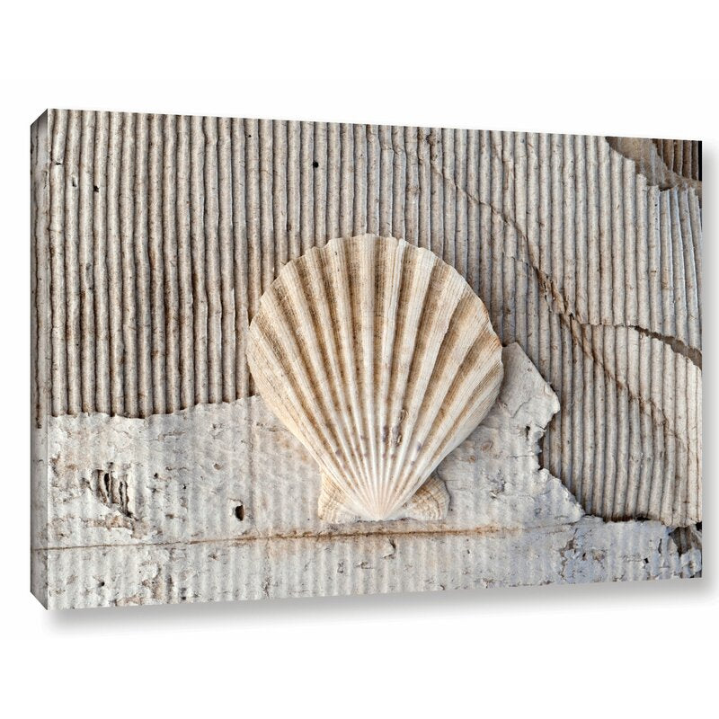 Coastal Elegance: Stunning Oil Painting of Seashells on Textured Background