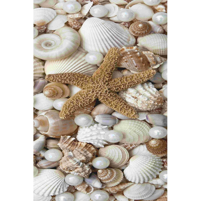 Coastal Harmony: Elegant Shells and Starfish Oil Painting