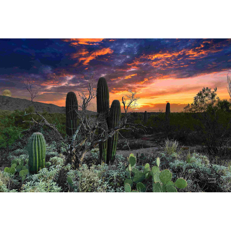 Vibrant Desert Sunset and Moonrise Oil Painting