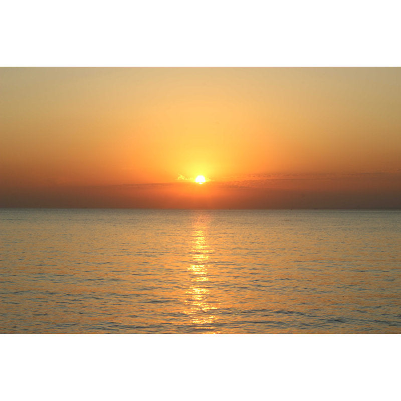 Serene Sunset Over Tranquil Waters - Stunning Oil Painting
