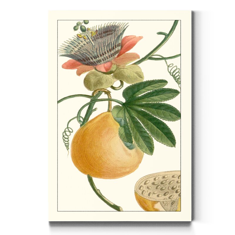 Exotic Botanical Oil Painting with Vibrant Floral and Fruit Elements