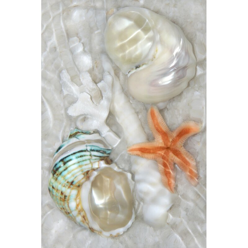 Elegant Underwater Seashells and Starfish Oil Painting