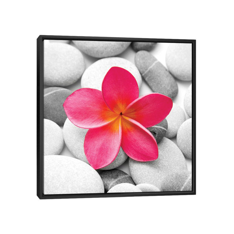 Zen Blossoms: Tranquil Pink Flower Among Serene Stones Oil Painting