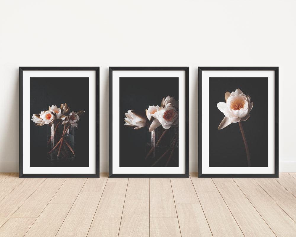 Elegant Trio of Oil Paintings: Water Lilies Blossom Collection