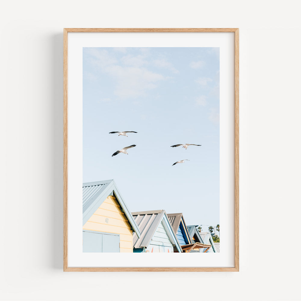 Tranquil Brighton Beach Scene with Soaring Seagulls and Vibrant Beach Huts