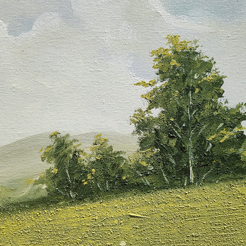 Meadow Cloud Landscape European Landscape Oil Painting 106MC