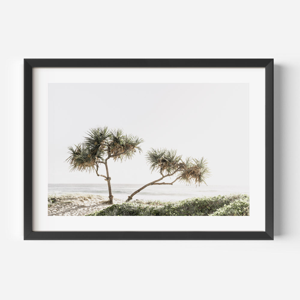 Coastal Serenity: Elegant Oil Painting of Pandanus Trees by the Beach