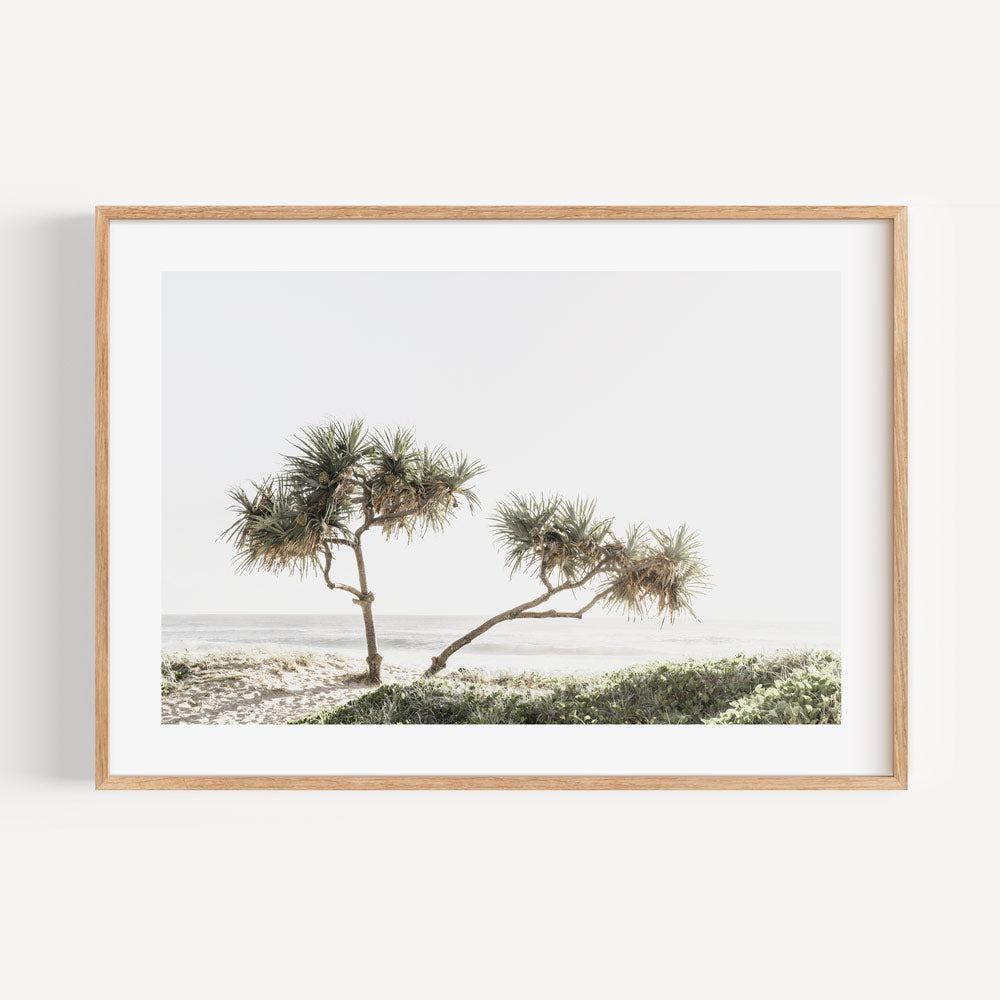 Coastal Serenity: Elegant Oil Painting of Pandanus Trees by the Beach
