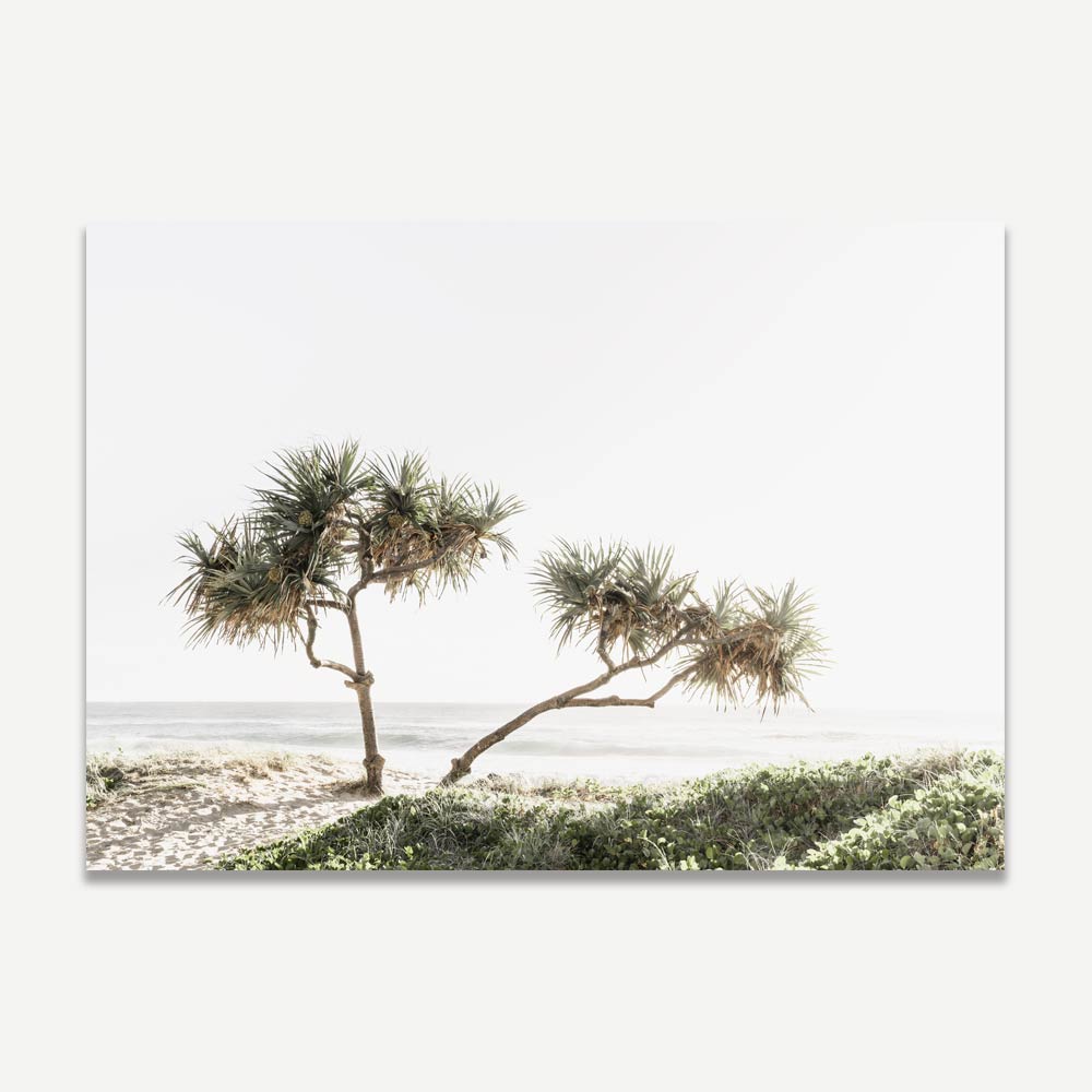 Coastal Serenity: Elegant Oil Painting of Pandanus Trees by the Beach