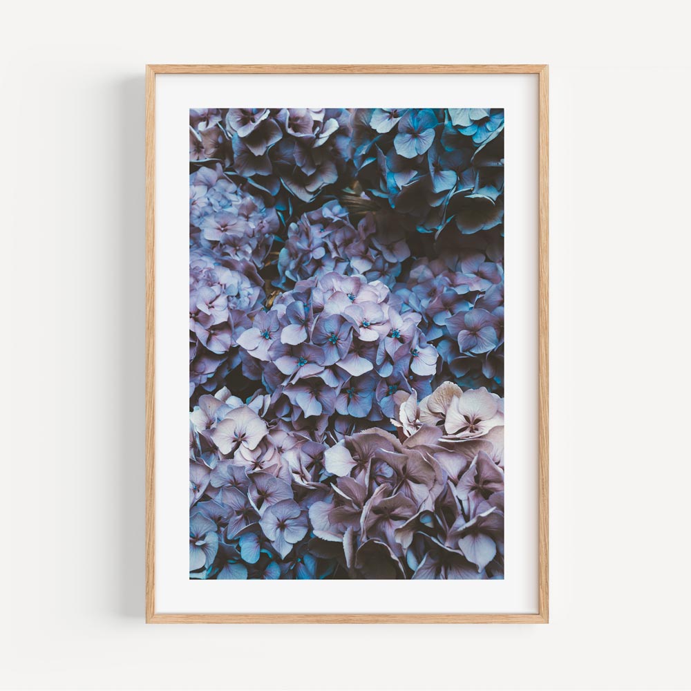 Lush Hydrangea Blooms in Serene Blue and Purple Hues - Elegant Floral Oil Painting