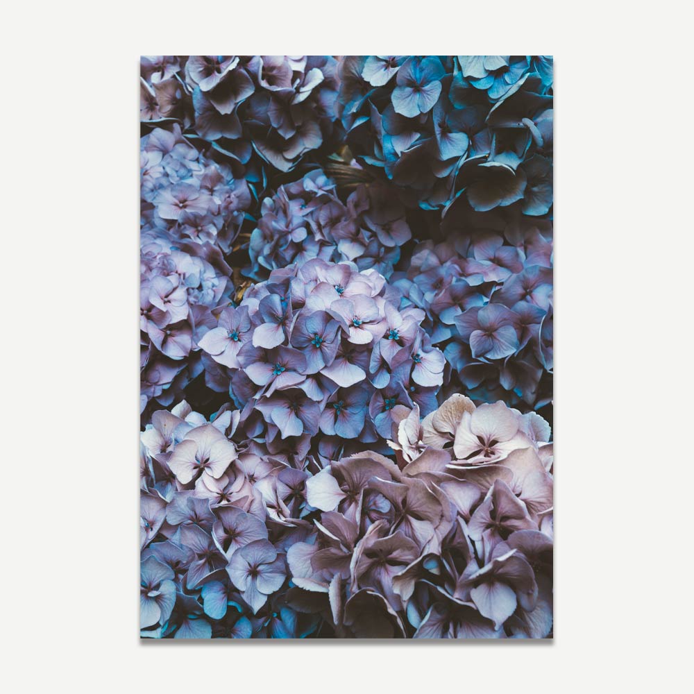 Lush Hydrangea Blooms in Serene Blue and Purple Hues - Elegant Floral Oil Painting