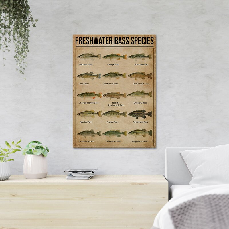 Freshwater Bass Species Art Print - Detailed Canvas Wall Decor for Fishing Enthusiasts