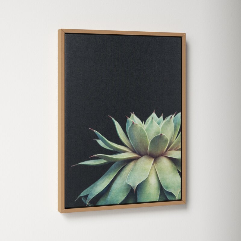 Elegant Succulent Oil Painting on Canvas for Modern Home Décor