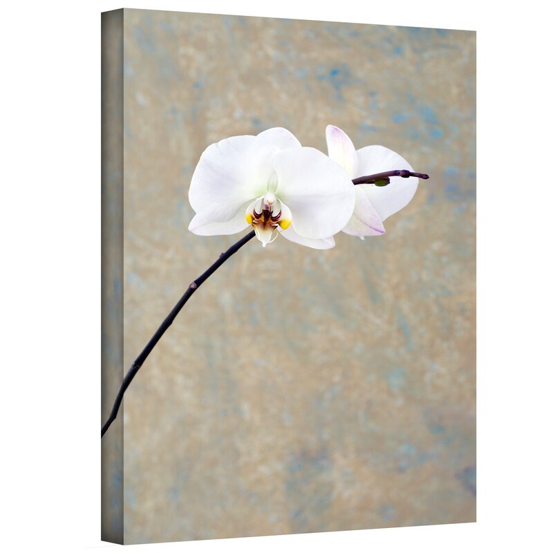 Elegant White Orchid Oil Painting for Modern Home Decor