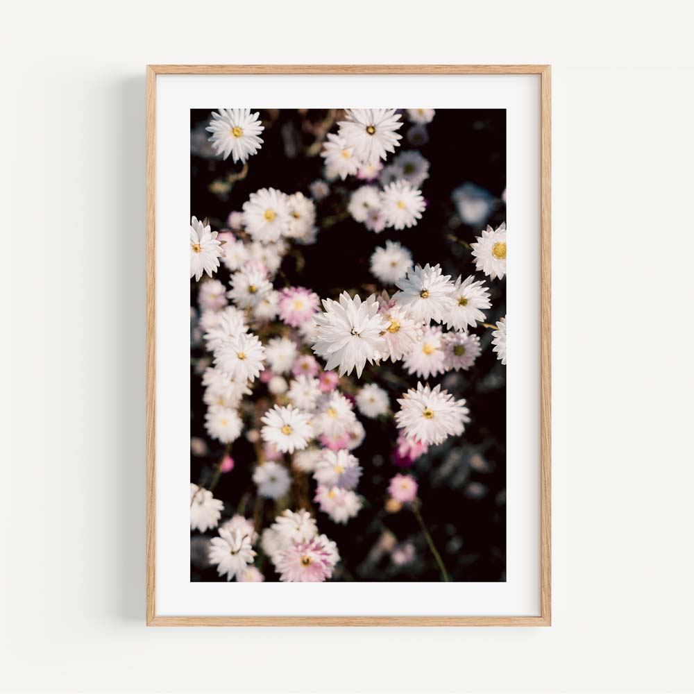 Charming White Daisy Floral Oil Painting for Elegant Home Decor