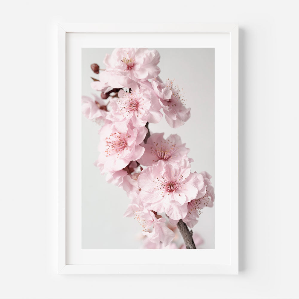 Blossoming Pink Cherry Flowers - Elegant Oil Painting for Home Decor