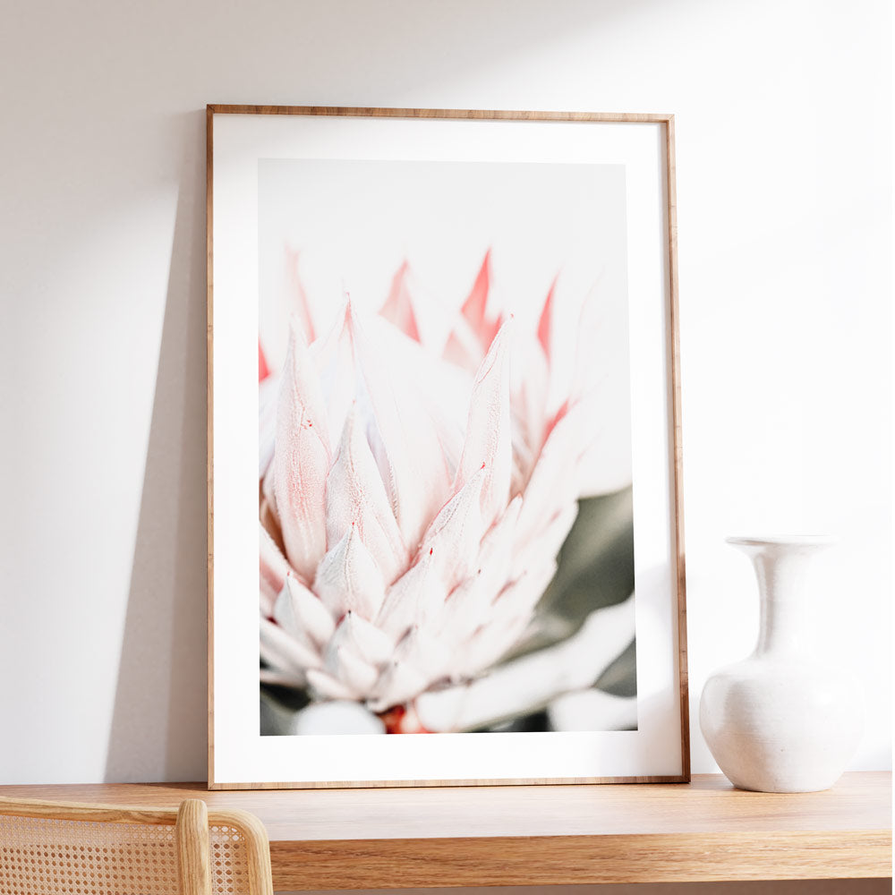 Elegant Queen Protea Oil Painting - Vibrant Floral Wall Art for Modern Decor
