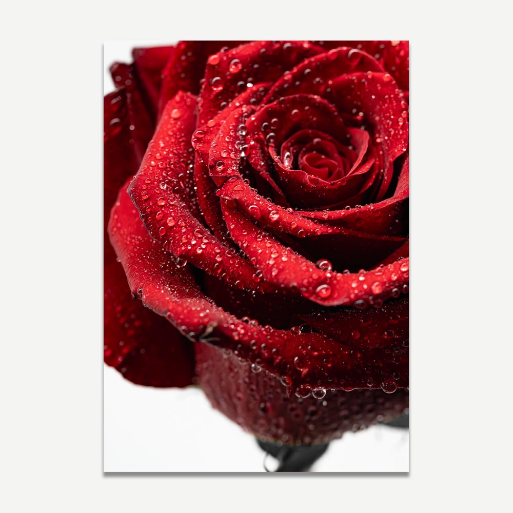 Elegant Red Roses in the Rain - Stunning Floral Oil Paintings for Home Decor