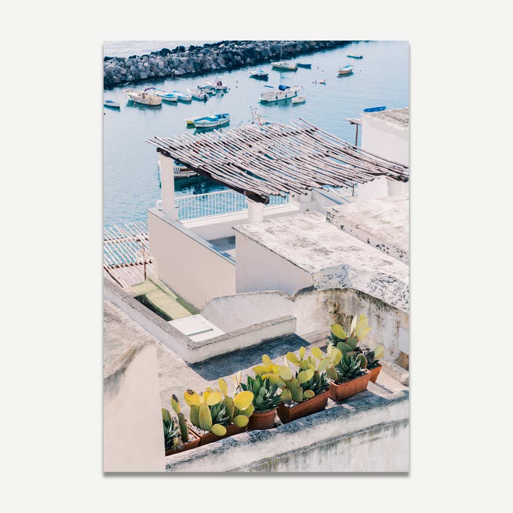 Serene Rooftop Garden with Cacti Overlooking Tranquil Waters