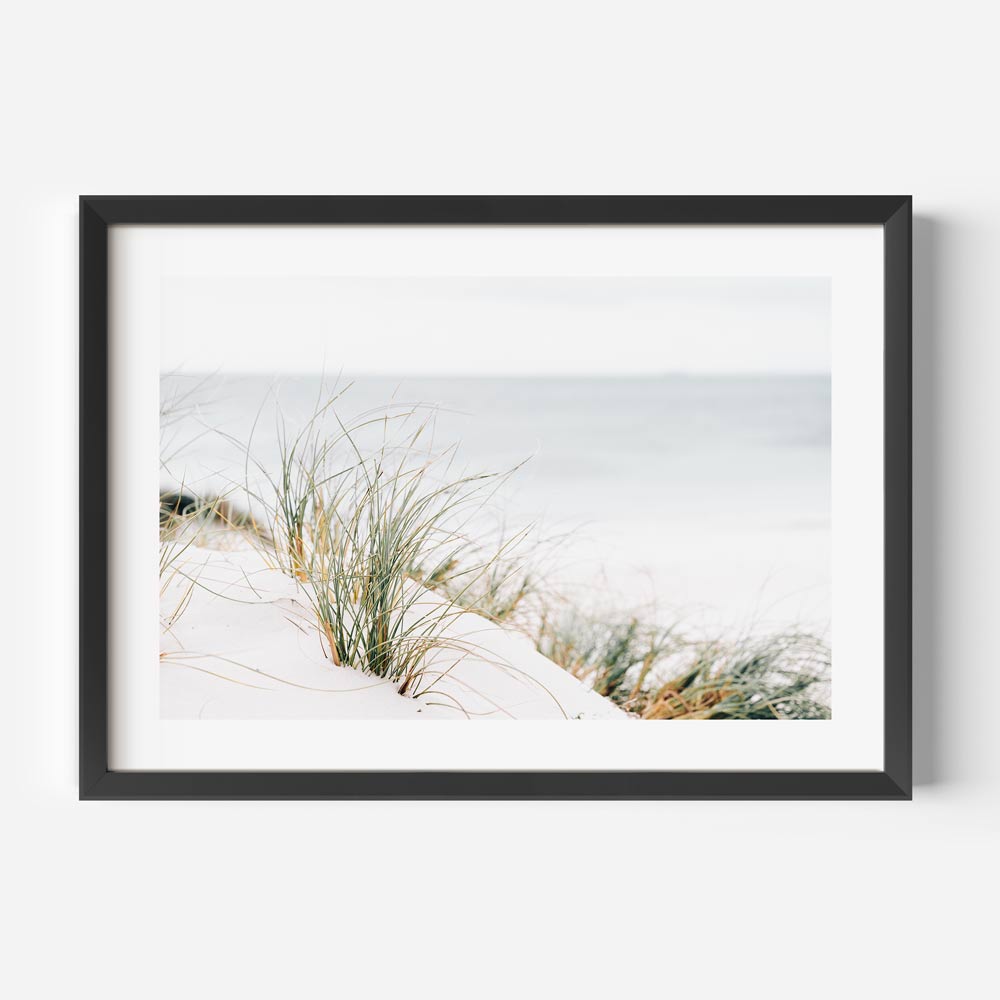 Coastal Serenity: Original Oil Painting of Sea Grass by Tranquil Shoreline