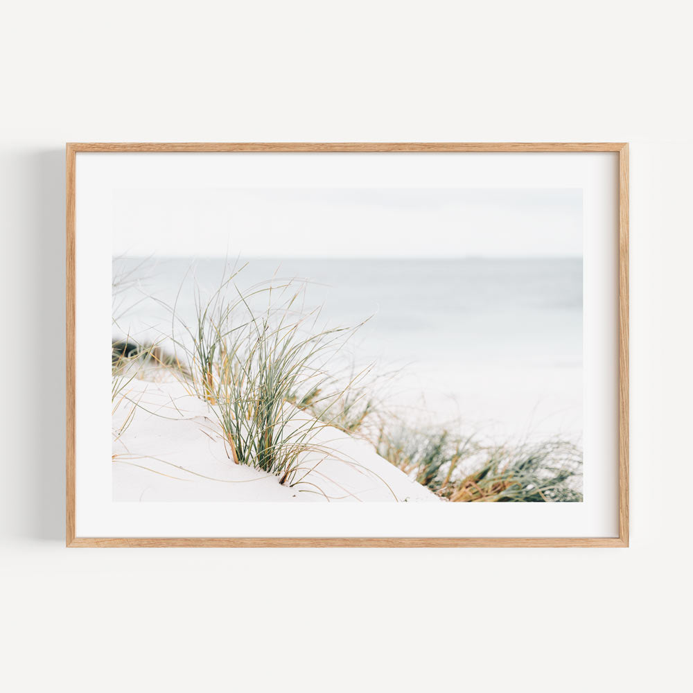 Coastal Serenity: Original Oil Painting of Sea Grass by Tranquil Shoreline