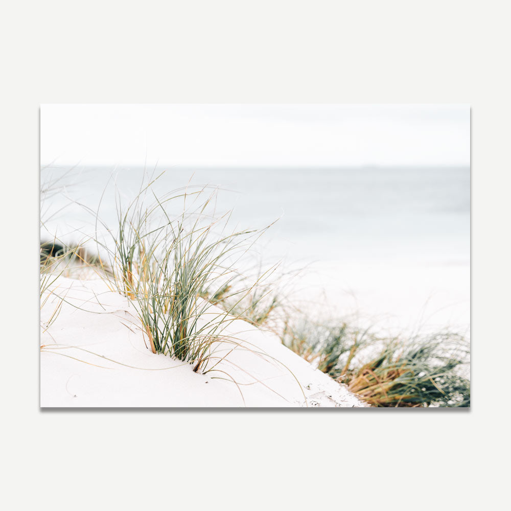 Coastal Serenity: Original Oil Painting of Sea Grass by Tranquil Shoreline