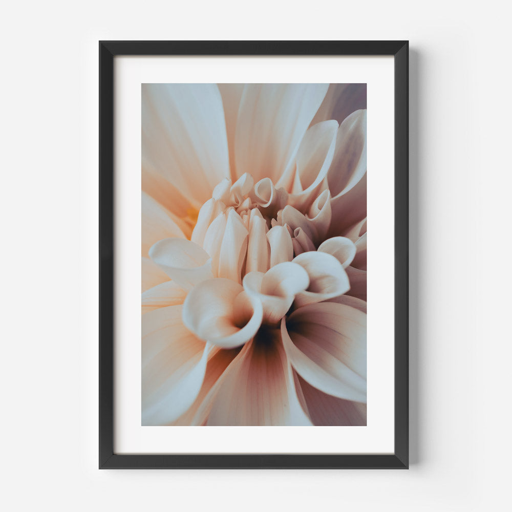 Elegant Dahlia Oil Painting - Serene Floral Wall Art for Home Decor