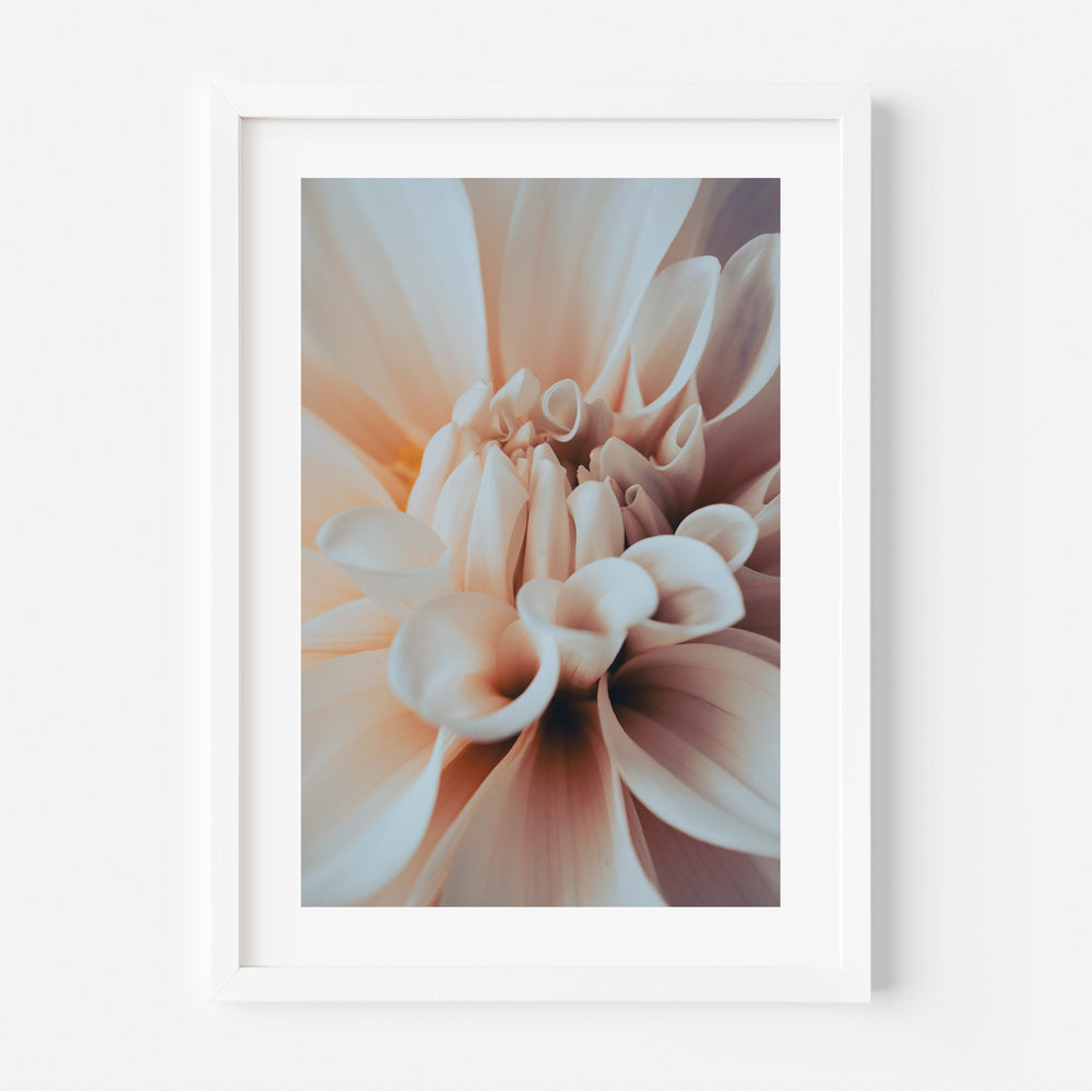 Elegant Dahlia Oil Painting - Serene Floral Wall Art for Home Decor