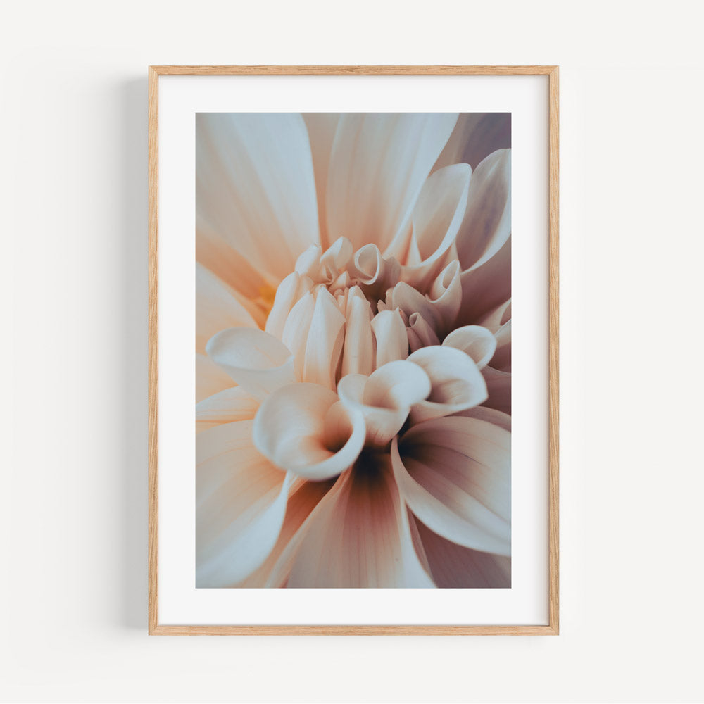 Elegant Dahlia Oil Painting - Serene Floral Wall Art for Home Decor