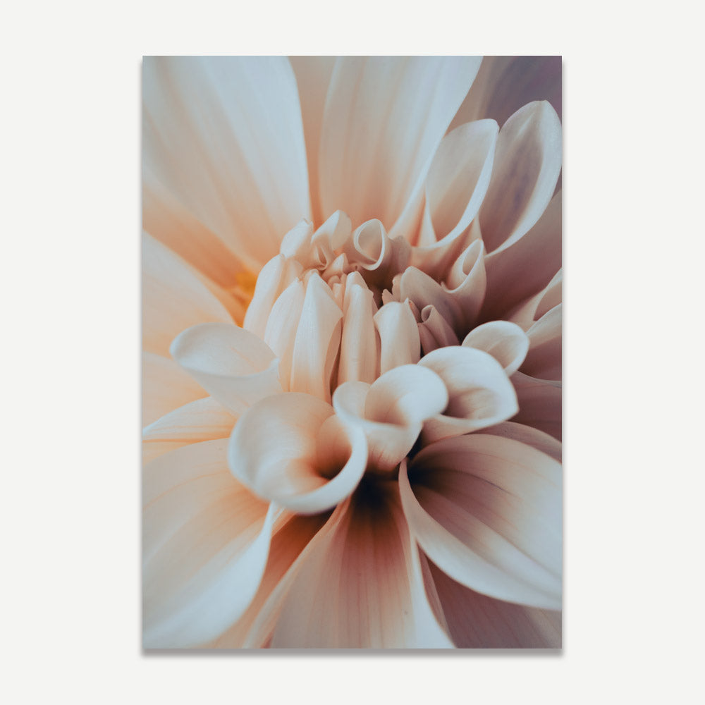 Elegant Dahlia Oil Painting - Serene Floral Wall Art for Home Decor
