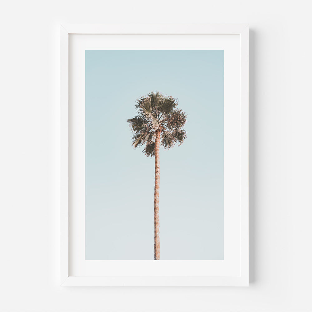 Coastal Serenity: Santa Monica, Palm Oasis, and Venice Beach Art Triptych