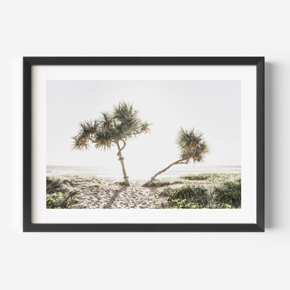 Tranquil Sunrise Over Gold Coast Beach with Tropical Palm Trees