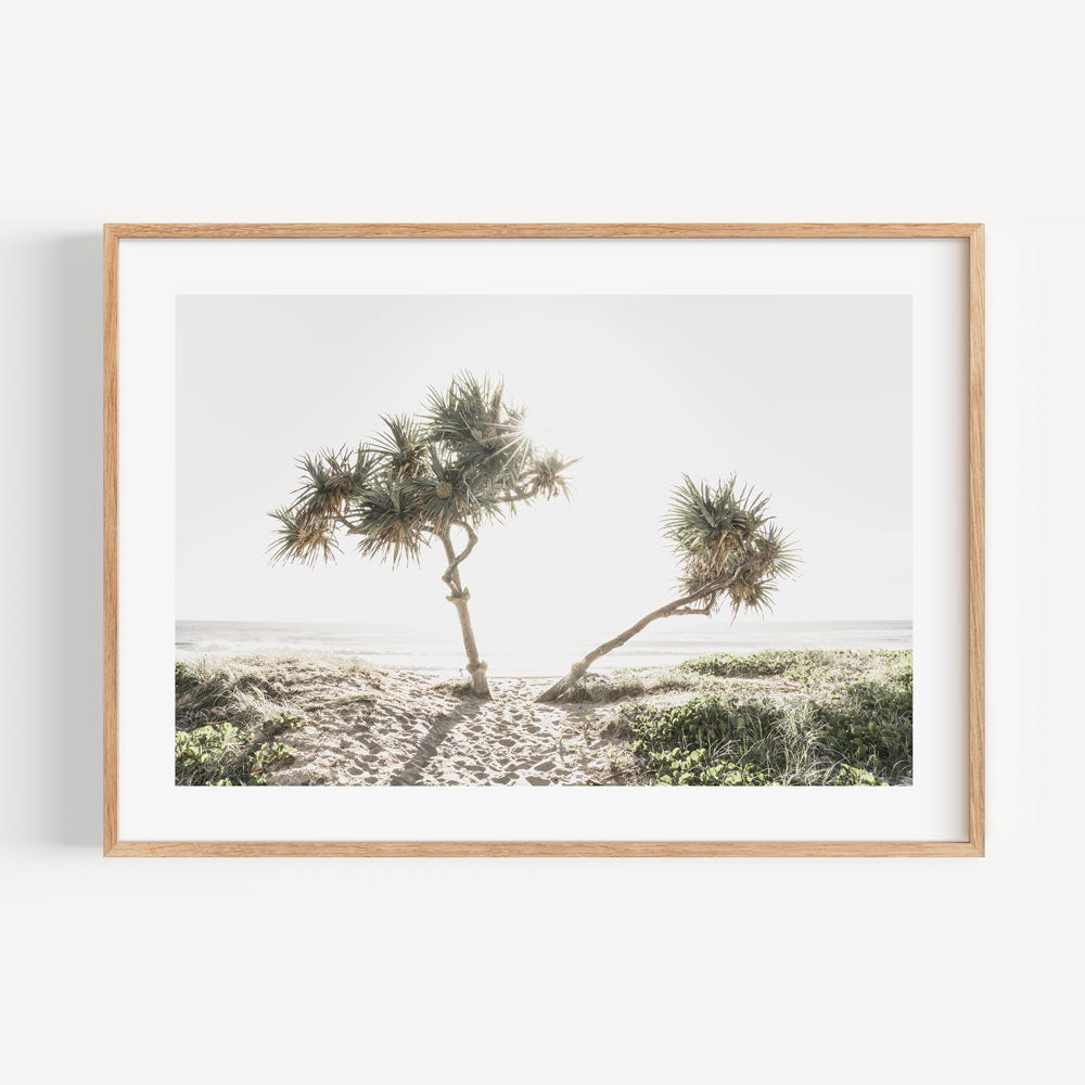 Tranquil Sunrise Over Gold Coast Beach with Tropical Palm Trees