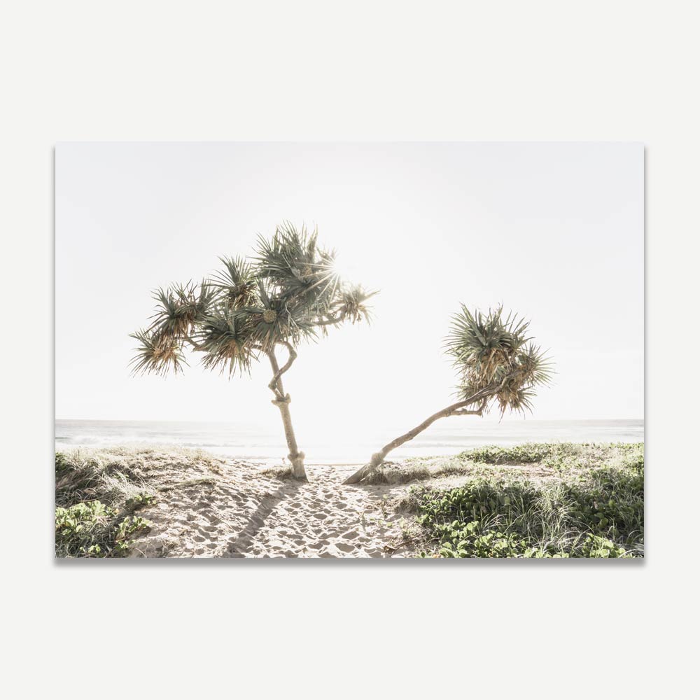 Tranquil Sunrise Over Gold Coast Beach with Tropical Palm Trees