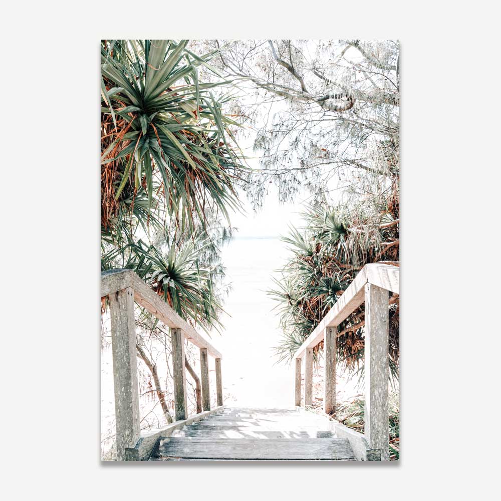 Coastal Serenity: Oil Paintings of Wategos Beach and Scenic Pathway
