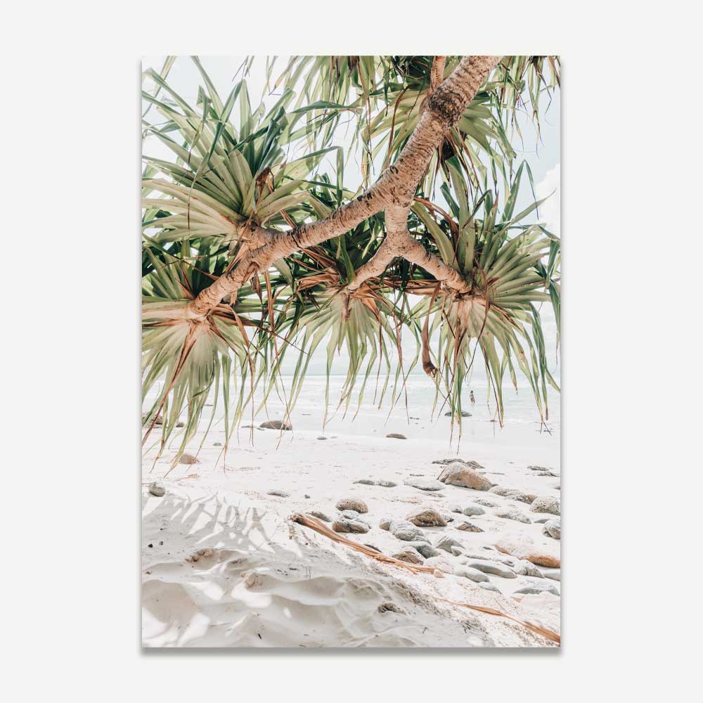 Coastal Serenity: Pristine Beach and Pandanus Oil Painting