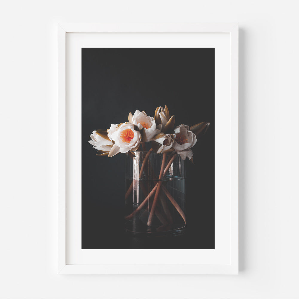 Elegant Trio of Oil Paintings: Water Lilies Blossom Collection