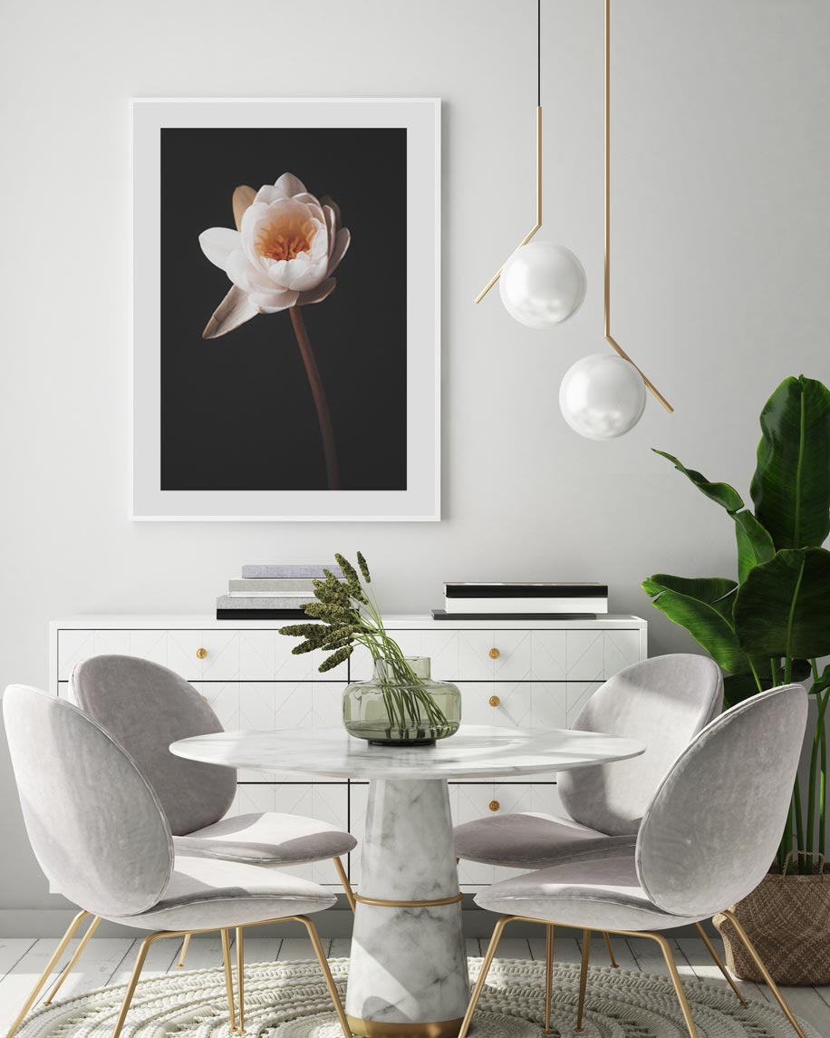 Elegant Water Lily Oil Painting on Black Background for Home Decor