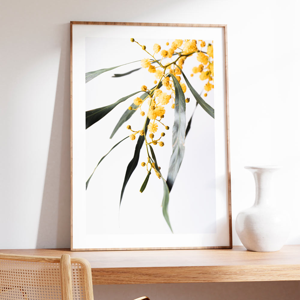 Vibrant Wattle Blossoms in Oil – Bright Yellow Floral Art for Home Decor