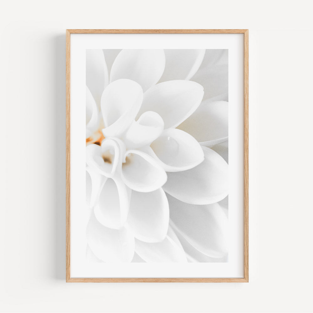 Elegant White Dahlia Oil Painting for Home Décor and Floral Art Enthusiasts