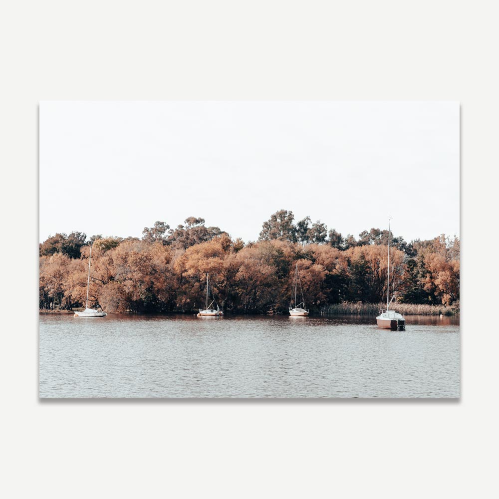 Tranquil Yarralumla Landscape: Serene Water and Sailboats in Autumn Colors