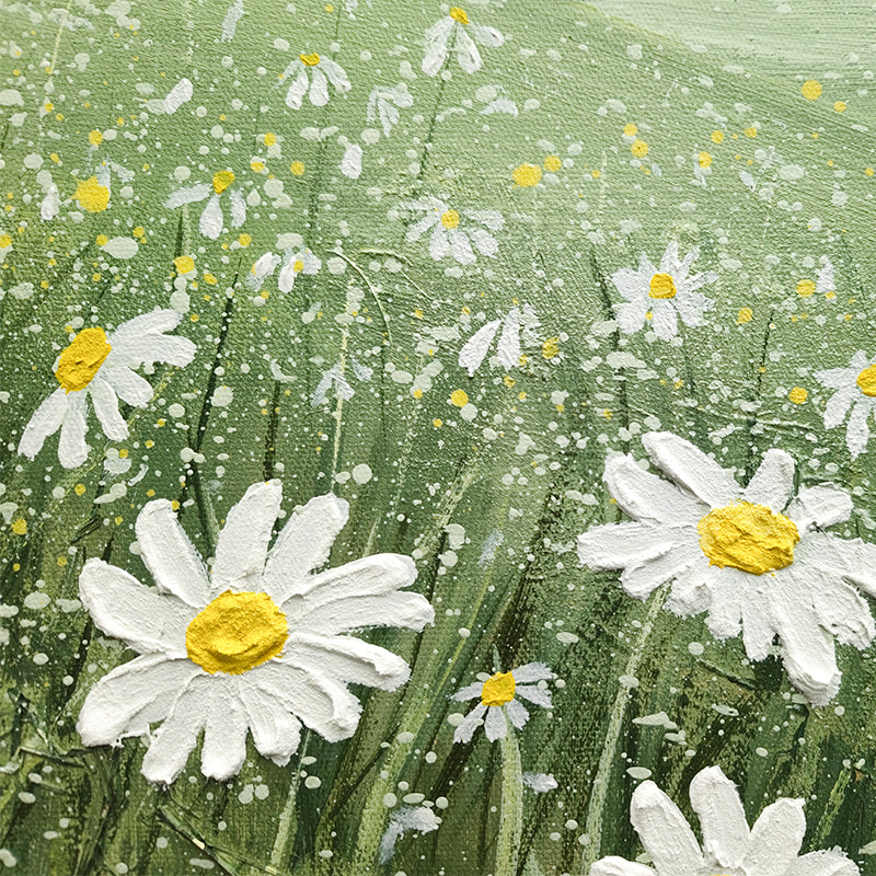 Daisy Field Meadow Flowers Oil Painting 143DF
