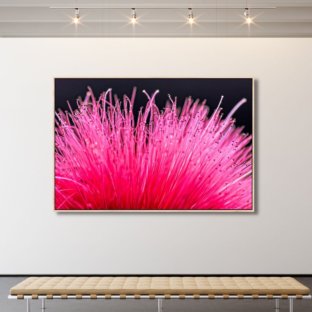 Vibrant Bottlebrush Flower Oil Painting - Colorful Floral Wall Art Decor