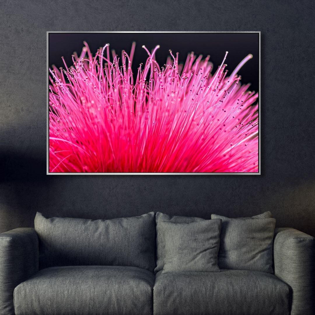 Vibrant Bottlebrush Flower Oil Painting - Colorful Floral Wall Art Decor
